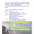 초급자를 위한 광어 다운샷 낚시캠프 모집